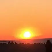 Masaの画像