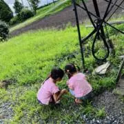 しユNの画像