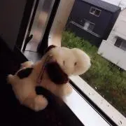 いりみい♡