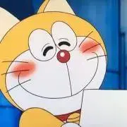 もっちゃんの画像