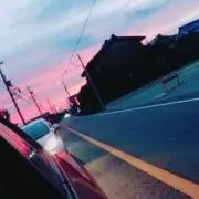 はちの画像