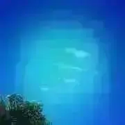 よんこの画像