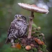 基本無言です