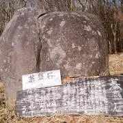 ゆうせいらんの画像