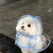 ららの画像