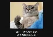 ★フック★_0831