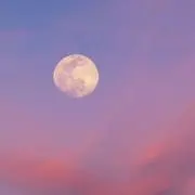 まんげつの画像