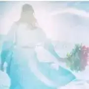 wakabaの画像