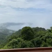ひな