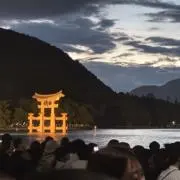 チャチャの画像