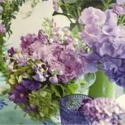 きなこの画像