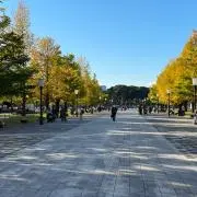 マーシー 必ずプロフィール読んでくださいの画像