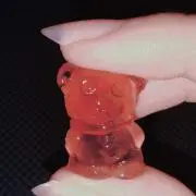 エヌの画像