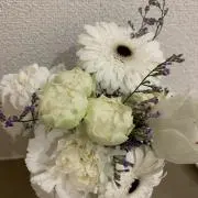 miffyの画像