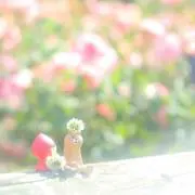 *May❁mama*