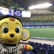 しおちゃん☆プロフィ必読の画像