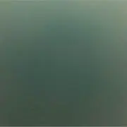 ジャスミンの画像