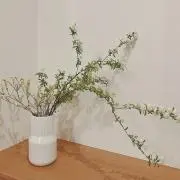 たまに出品の画像