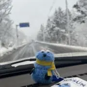 ちぢみの画像