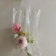 じゃがりこの画像