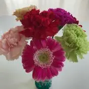 Yumiii