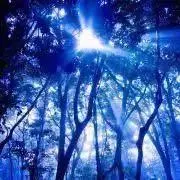 HI-POWER プラグファイアカートリッジ ヘビーウェイト - メルカリ