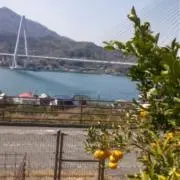 因島柑橘屋の画像