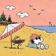 AOMIの画像