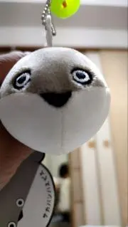 つるつるの画像