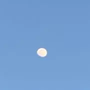 期日内発送ですよ！の画像