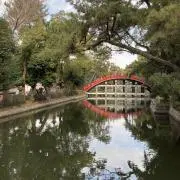 はっぱの画像