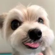 kacoの画像
