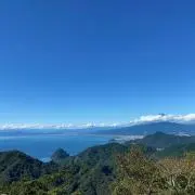 こいやんの画像