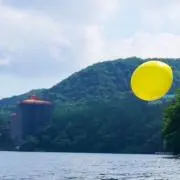 achamo☆の画像