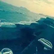 えてこ.の画像