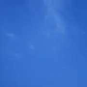 チルの画像