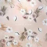 Nの画像
