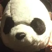 にかちゃんの画像