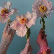 yy