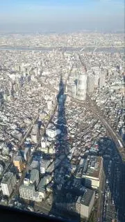 シマの画像