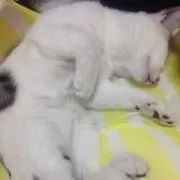 ゆーきくん☆プロフ必読