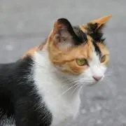 たくわん□即購入OK！