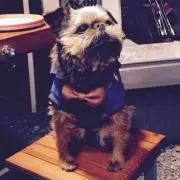 コロン