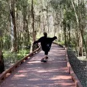くどけん