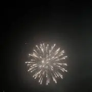 Miiの画像