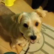 あーさんの画像