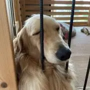 カズロー