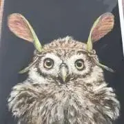 nsouihの画像