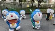 コタップの画像