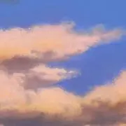 あんこの画像